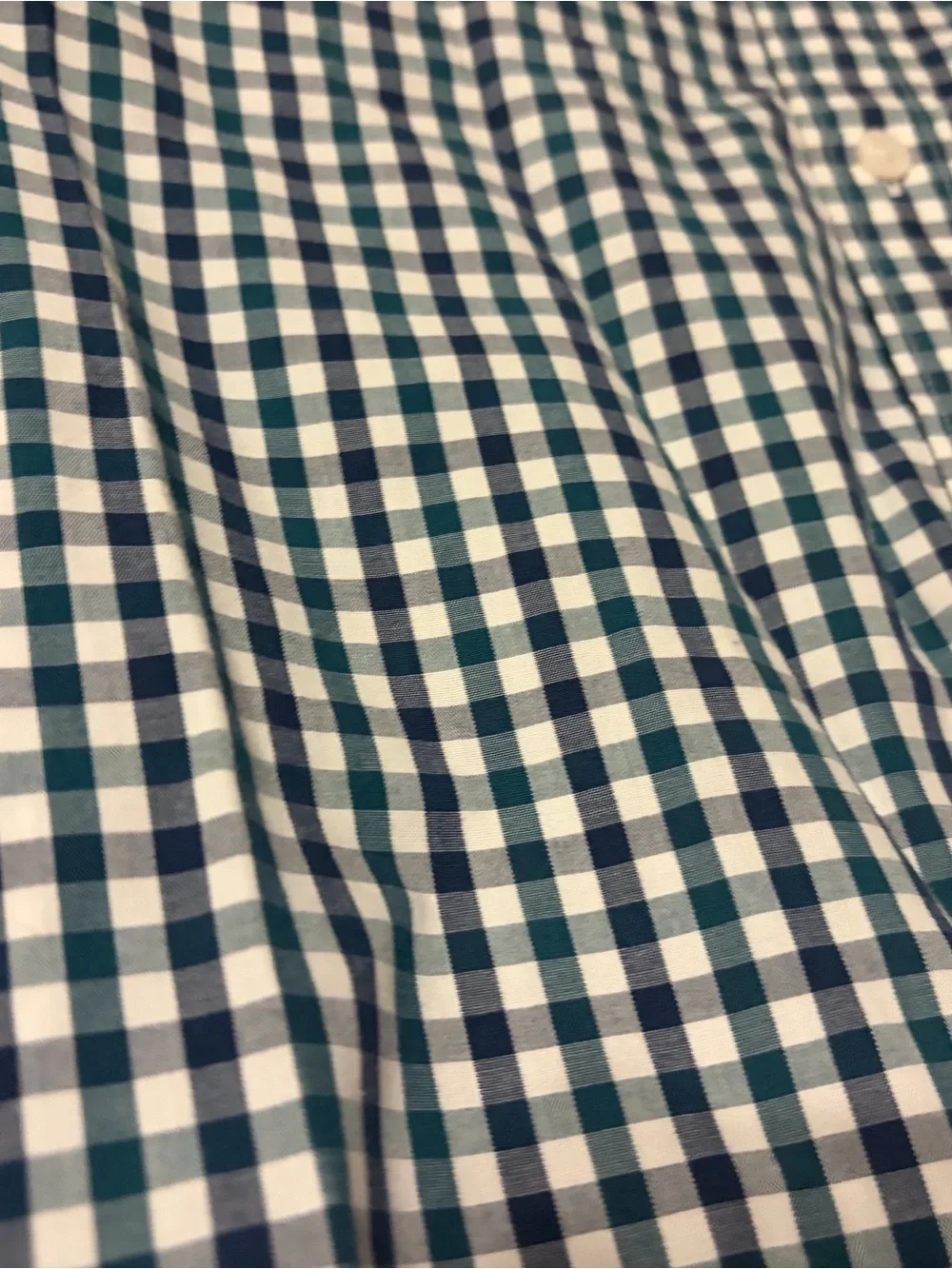 Men's J Crew Green and White Gingham Button-Down Shirt